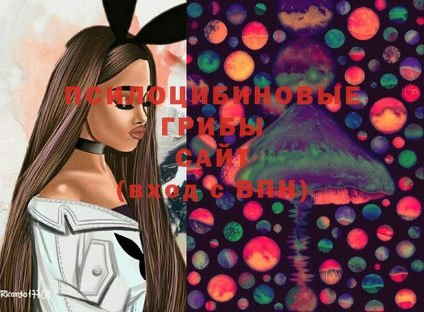spice Лагань