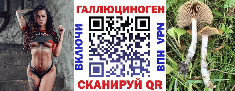 как найти закладки  Черемхово  Псилоцибиновые грибы ЛСД 